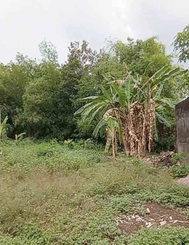 dijual tanah sembego