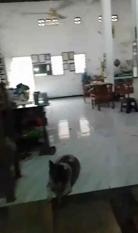 dijual tanah simo pomahan surabaya