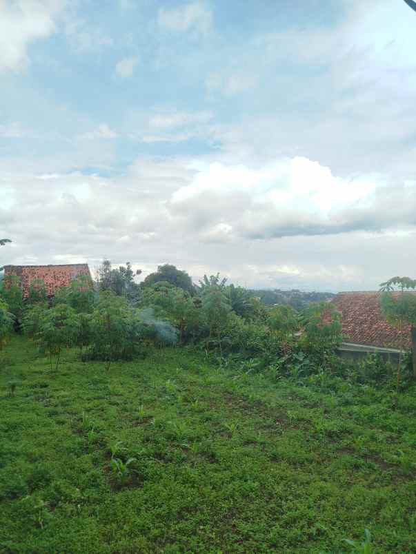 dijual tanah sukaharja cijeruk bogor