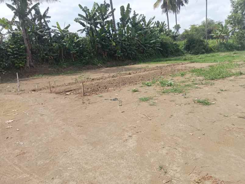 dijual tanah sukoanyar