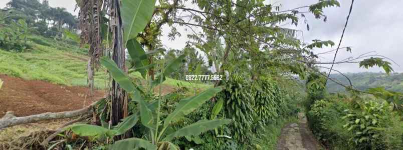 dijual tanah taman safari cisarua