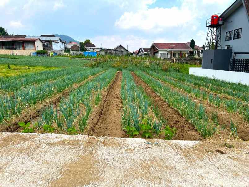 dijual tanah tawangmangu karanganyar