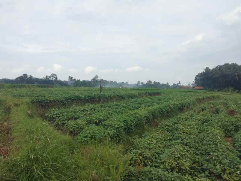 dijual tanah view gunung pinggir jalan desa