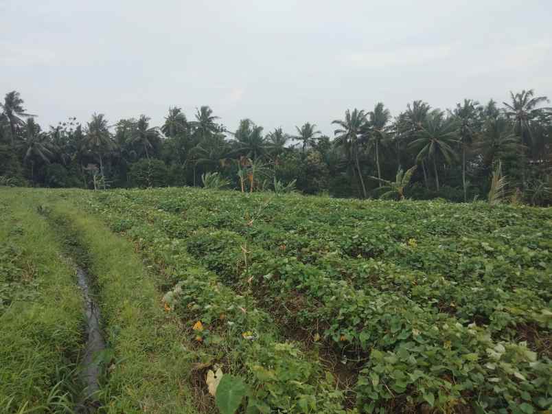 dijual tanah view gunung pinggir jalan desa