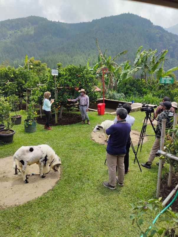 dijual villa maribaya lembang