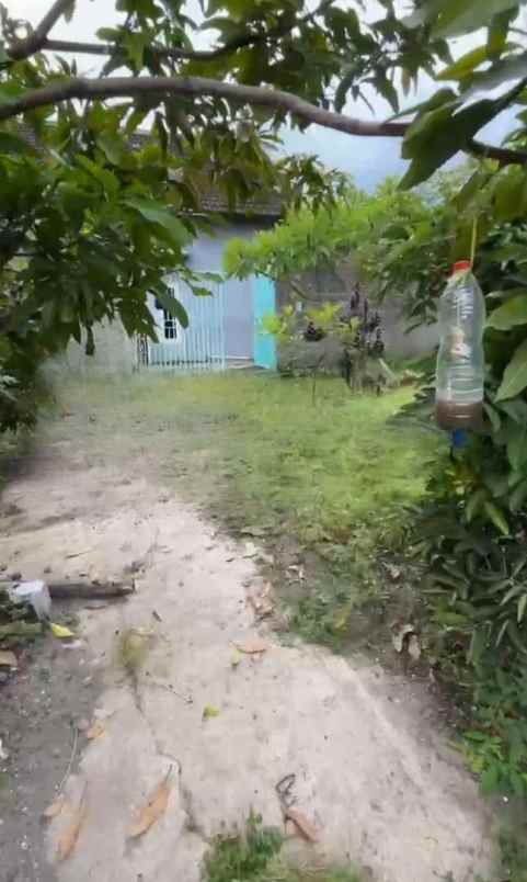 disewakan gudang tempat usaha di kertosono