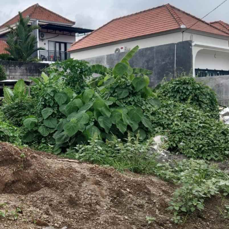 disewakan tanah padang tawang