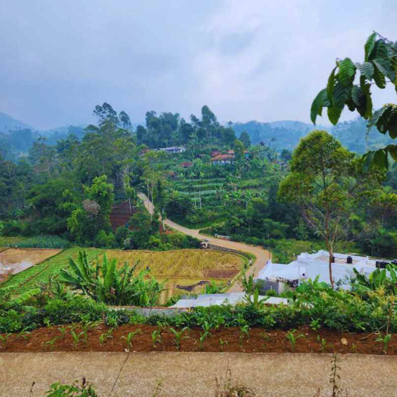 jual kavling tanah murah di ciwidey