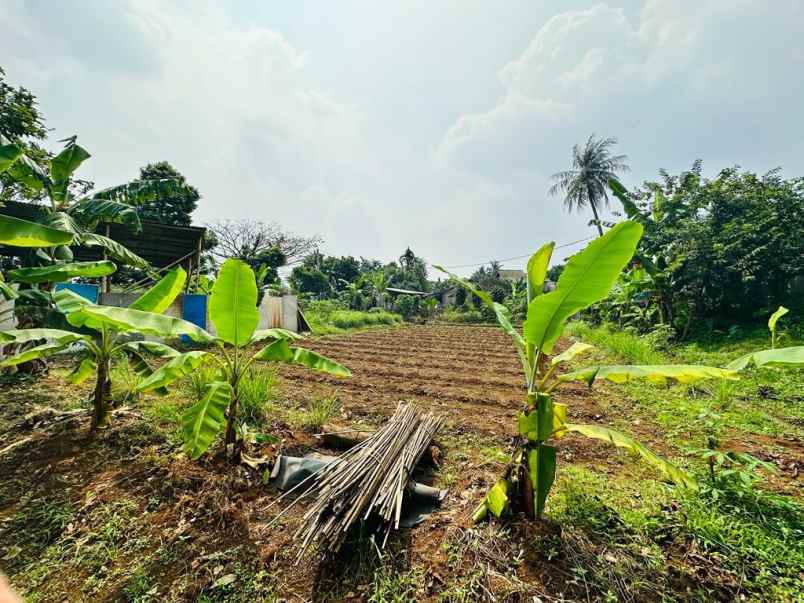 lahan kosong 906 meter 2 6jt m di cilodong depok