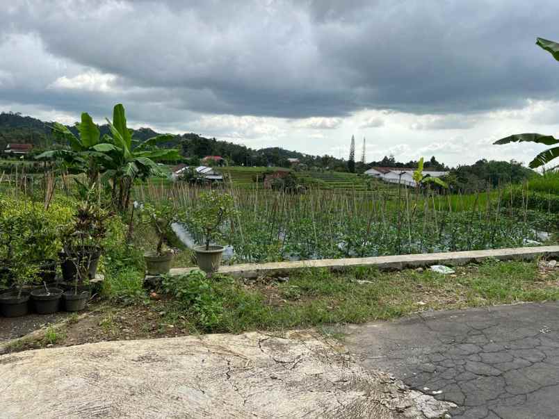 rumah 263m siap huni timur pasar karangpandan