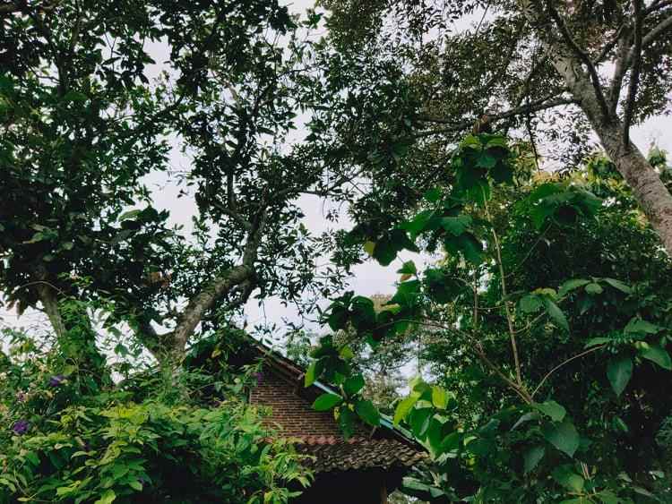 rumah desa wisata karangpandan