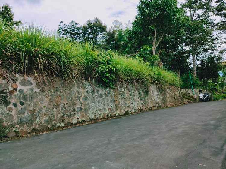 rumah desa wisata karangpandan