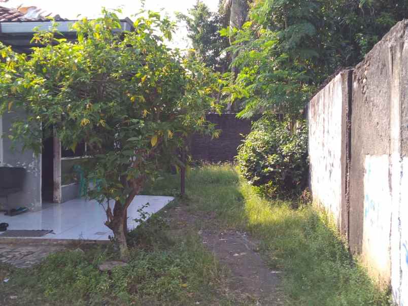 rumah jalan raya agus salim tugu