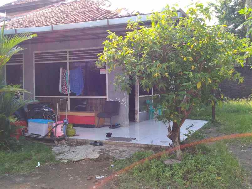 rumah jalan raya agus salim tugu