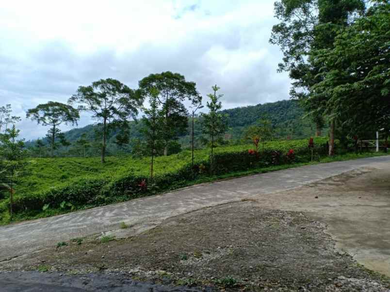 rumah kawasan wisata alam