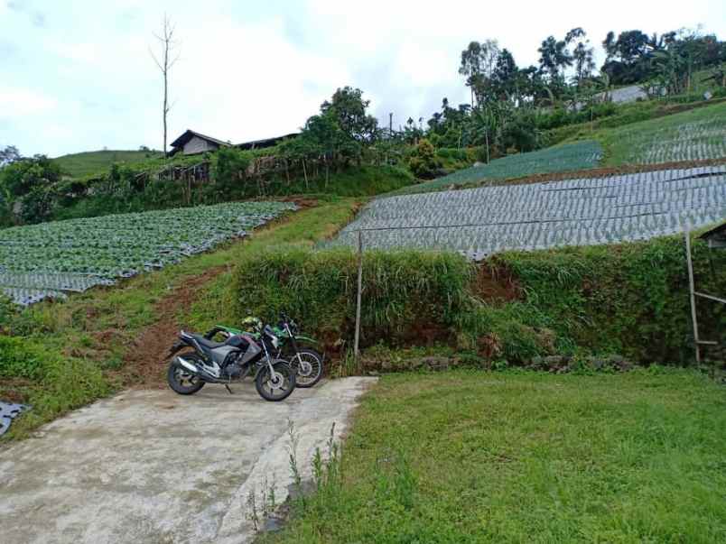 rumah kawasan wisata alam