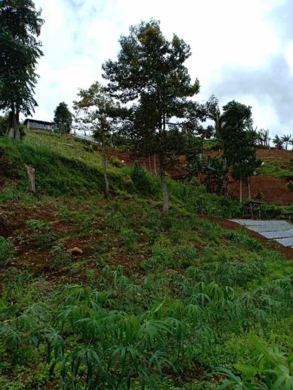rumah kawasan wisata alam