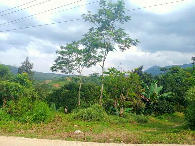 tanah best view sukamakmur bogor