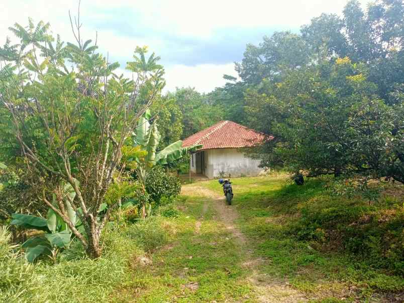 tanah best view sukamakmur bogor