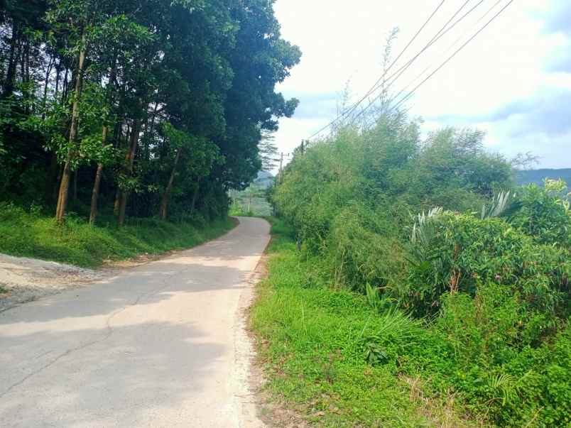 tanah best view sukamakmur bogor