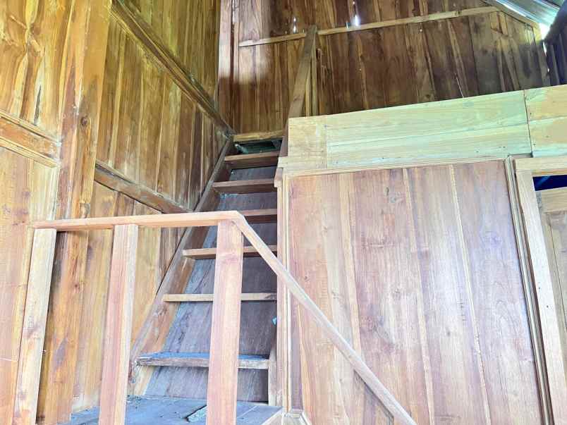 tanah bonus villa cocok untuk wista glamping kemuning