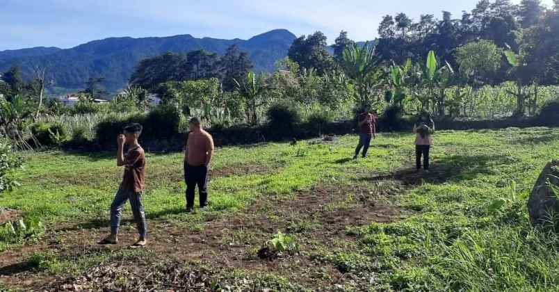 tanah citeko cisarua bogor