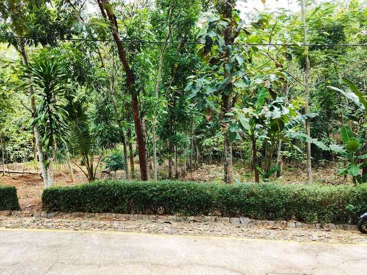tanah dekat kantor pertanian