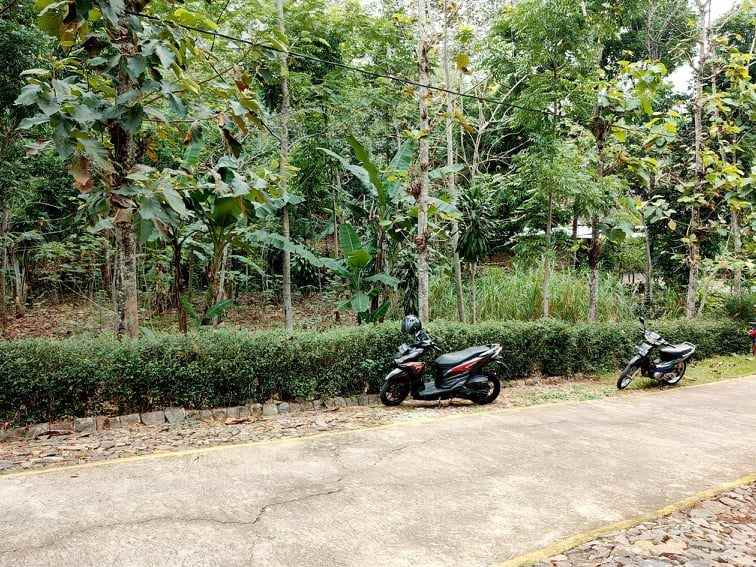 tanah dekat kantor pertanian