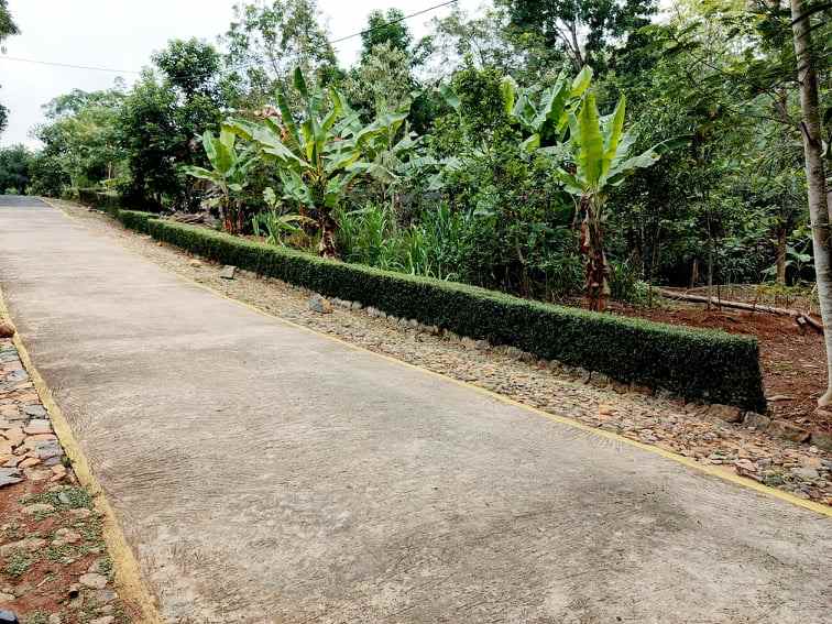 tanah dekat kantor pertanian