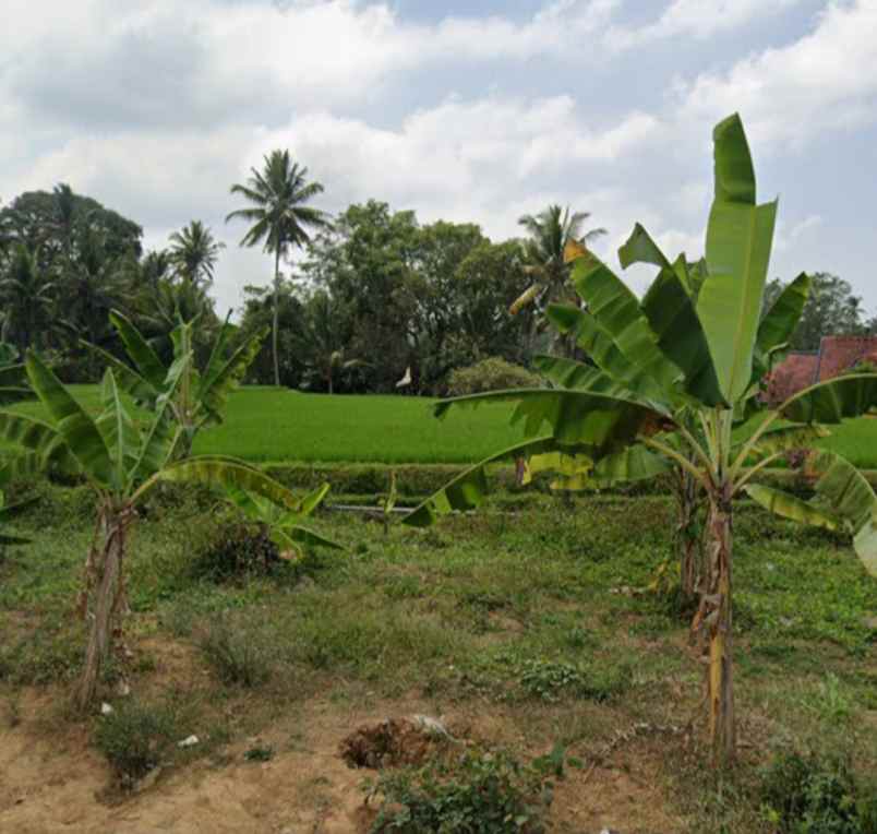 tanah di jalan utama sebali dekat ubud center