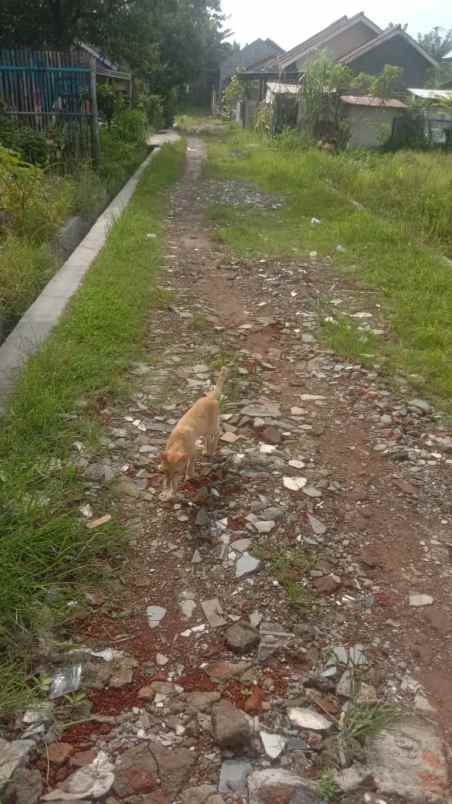 tanah kavling di kawasan strategis