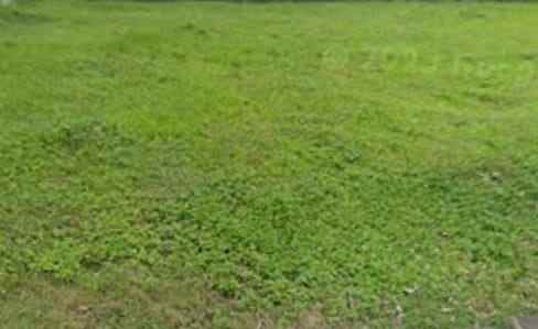 tanah kavling woodland citraland bentuk tanah kotak