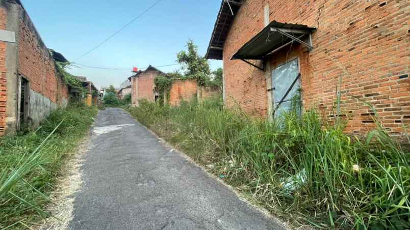 tanah kedamaian ridwan rais