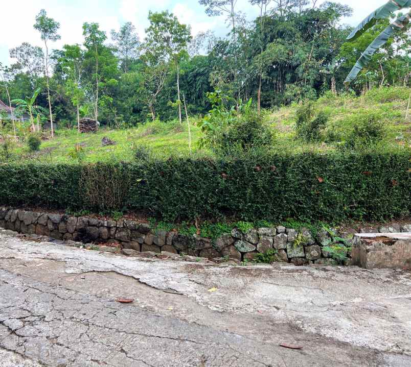 tanah kerjo karanganyar