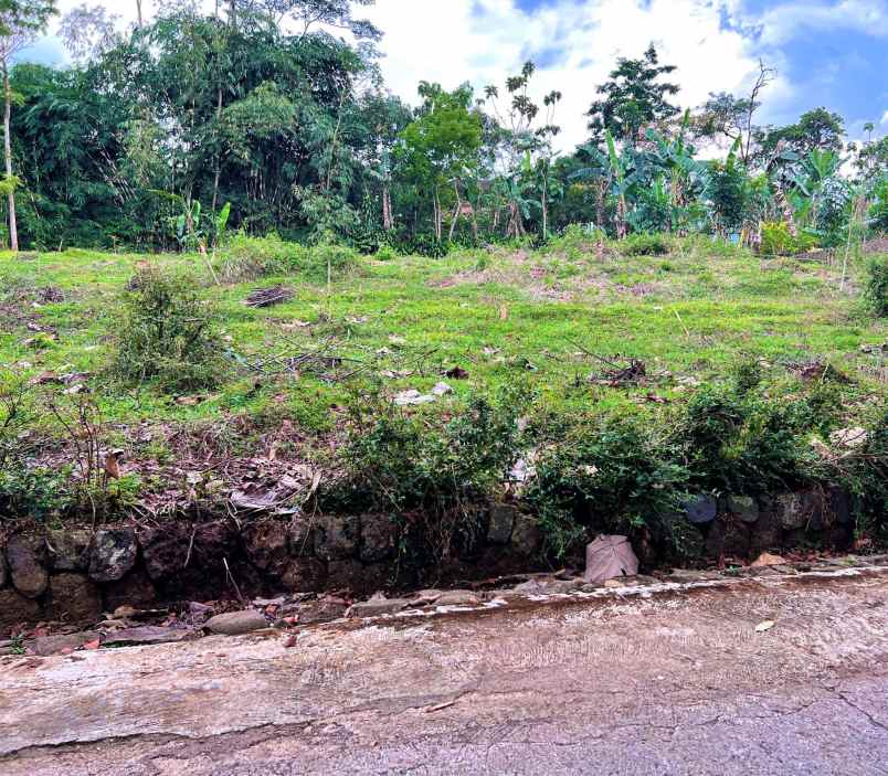 tanah kerjo karanganyar