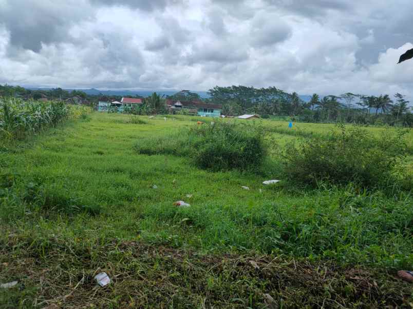 tanah luas murah super strategis di kepanjen malang