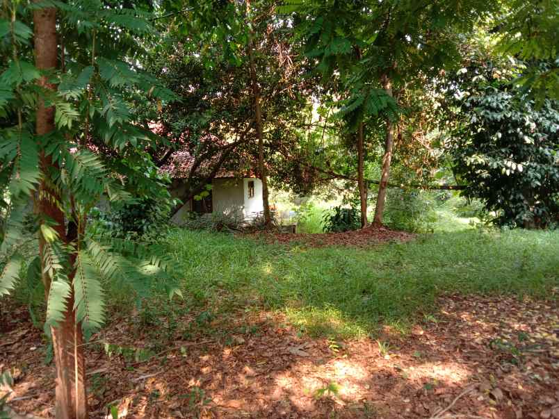 tanah meruyung limo depok