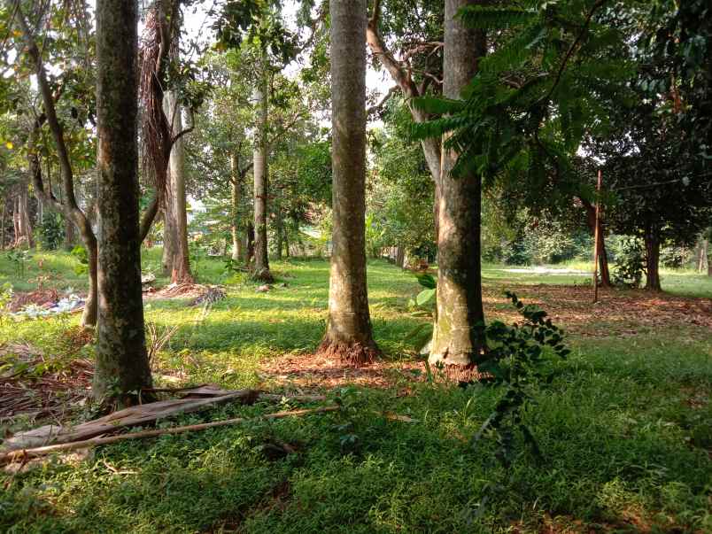 tanah meruyung limo depok