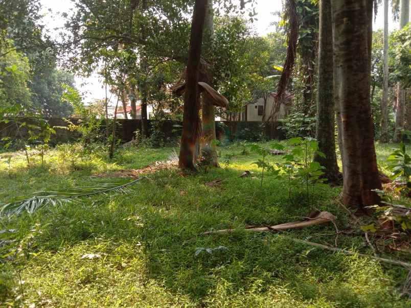 tanah meruyung limo depok