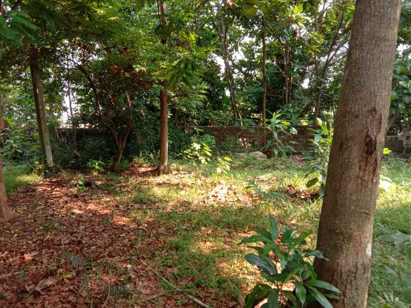 tanah meruyung limo depok