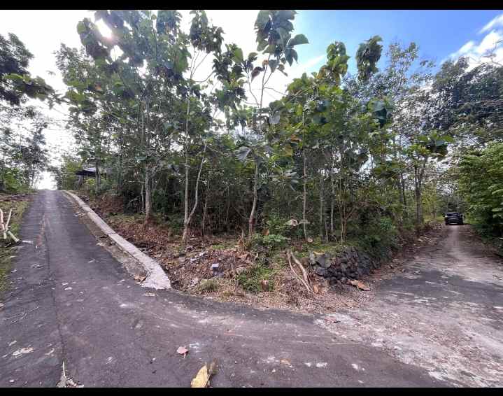 tanah murah banting harga dua simpang jalan