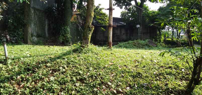 tanah pondok labu cilandak