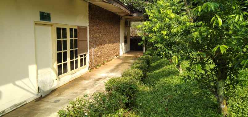 tanah pondok labu cilandak