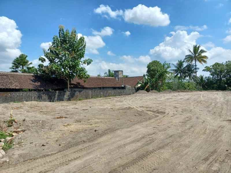 tanah purwobinangun pakem sleman