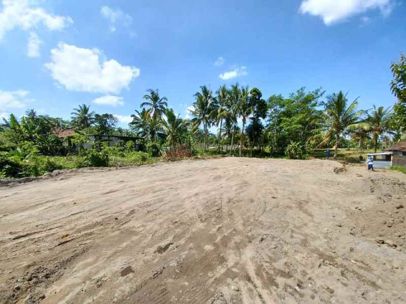 tanah purwobinangun pakem sleman