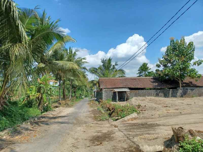 tanah purwobinangun pakem sleman