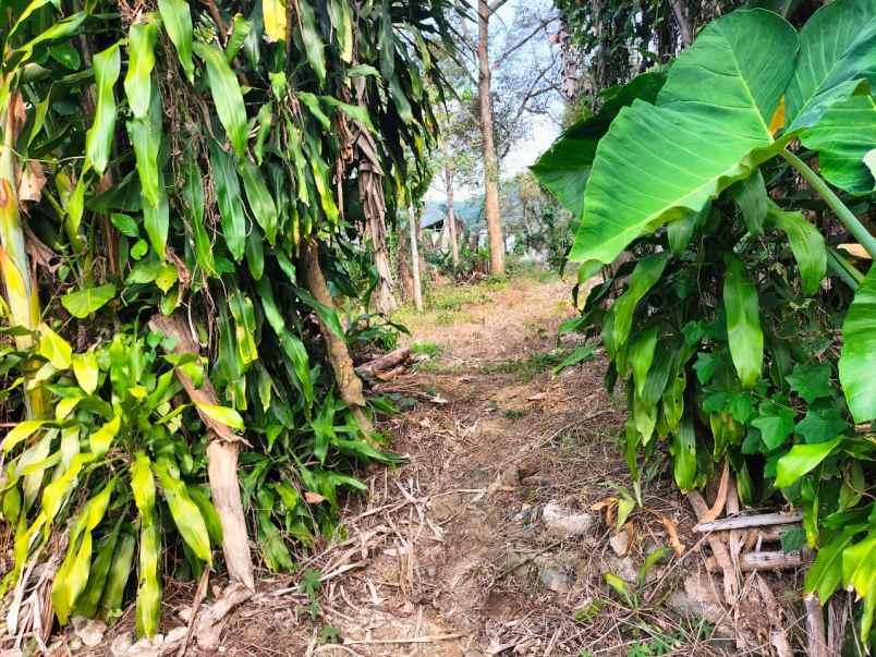 tanah samping ramayana cibadak kab sukabumi