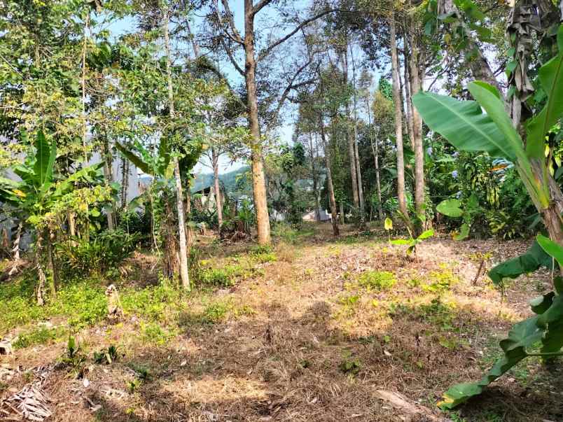 tanah samping ramayana cibadak kab sukabumi