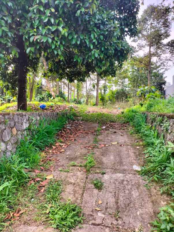 tanah samping ramayana cibadak kab sukabumi