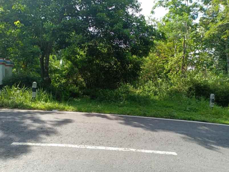 tanah tepi jl raya batujamus